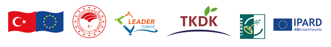 leader-yaklasimi